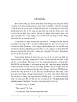 Tín dụng thương mại và triển vọng ở Việt Nam.DOC