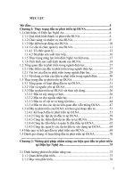 Những giải pháp nhằm nâng cao hiệu quả đầu tư phát triển tại Điện lực Nghệ An.DOC
