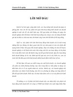 phân tích hoạt động kinh doanh đối với công ty TNHH một thành viên xuất nhập khẩu Hào Phát.doc