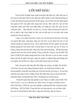 Tình hình hoạt động sản xuất kinh doanh của vosco năm 2009 và phương hướng phát triển của công ty trong thời gian tới.doc