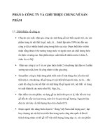 chiến lược thâm nhập thị trường Pháp công ty GỖ VIỆT.doc