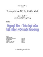 kinh tế công ngoại tác.doc