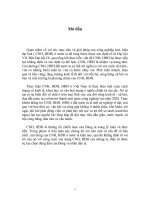 Chiến lược CNH, HĐH, HĐH ở Việt nam trong thời kỳ quá độ.doc