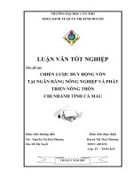Chiến lược huy động vốn tại ngân hàng nông nghiệp và phát triển nông thôn chi nhánh tỉnh cà mau.pdf