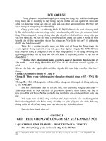 Một số biện pháp nhằm nâng cao hiệu quả sử dụng lao động ở công ty Sản xuất – xuất nhập khẩu Hà Nội.doc