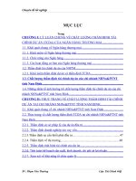 Nâng cao chất lượng thẩm định tài chính dự án tại chi nhánh Ngân Hàng Nông nghiệp và Phát triển nông thôn tỉnh Nam Định.DOC