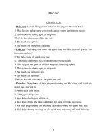 Các phương hướng và biện pháp nhằm nâng cao khẳ năng cạnh tranh của các doanh nghiệp ngành may mặc.doc.DOC