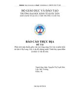 Phân tích mâu thuẫn giữa việc mở rộng cảng Cái Lân và phát triển du lịch ở Hạ Long.DOC