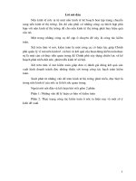 Thực trạng công tác kiểm toán ở nước ta hiện nay và một số ý kiến đề xuất.DOC