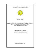 đánh giá hiệu quả hoạt động kinh doanh ngoại hối của ngân hàng thương mại cổ phần.doc