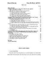 Một số giải pháp nhằm hoàn thiện tổ chức bộ máy quản lý của Công ty TNHH nhà nước một thành viên Diesel Sông Công.docx