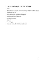 Phương hướng và giải pháp mở rộng thị trường xuất khẩu sản phẩm công ty cổ phần giấy Lam Sơn.doc