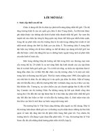 Thực trạng thị trường bán lẻ châu Á và những kiến nghị đối với Việt Nam.docx