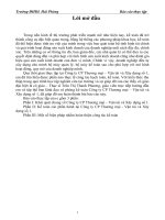 Báo cáo thực tập tại Công ty CP thương mại - vận tải và xây dựng số 1 - Hải phòng.doc