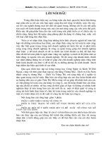 THỰC TRẠNG TỔ CHỨC KẾ TOÁN TRONG MỘT KỲ CỦA CỬA HÀNG (2).DOC