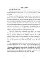 Thực trạng Marketing và một số giải pháp hoàn thiện chính sách Marketing của công ty CPTM và PTDN- FBS  Hà Nội.DOC