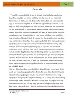 một số giải pháp nhằm mở rộng thị trường tiêu thụ hàng hóa thông qua thương mại điện tử tại công ty cổ phần Sơn Thanh.doc