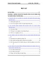 giai_phap_nang_cao_hieu_qua_huy_dong_von_tai_chi_nhanh_bac_ha_noi_ngan_hang_dau_tu_va_phat_trien.doc