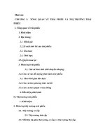 TRÁI PHIẾU VÀ THỊ TRƯỜNG TRÁI PHIẾU, THỰC TR&.docx