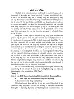 Giải pháp nâng cao hiệu quả hoạt động thị trường ngoại thương ở Việt Nam.doc