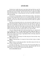 Tổ chức công tác kế toán vật liệu tại công ty cổ phần Giầy Hà Nội.DOC