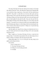 Những rủi ro từ cạnh tranh trong thị trường Viễn thông Việt Nam.doc