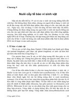 Công nghệ tế bào C5