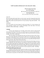 Thiết bị giảm chấn cho cầu dây văng