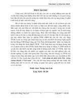 Giải pháp phát triển thị trường chứng khoán Việt Nam.doc