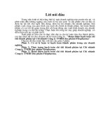 Hoàn thiện hạch toán chi tiết thành phẩm tại Chi nhánh Công ty TNHH dược phẩmt Fitopharma.DOC