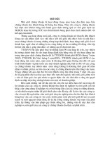 Hoàn thiện hệ thống mạng lưới nhận lệnh của khách hàng.DOC