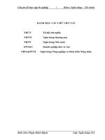 Giải pháp nâng cao chất lượng tín dụng ngân hàng đối với doanh nghiệp nhỏ và vừa của chi nhánh Ngân hàng Nông nghiệp và Phát triển Nông thôn Hà Nội  (2).doc