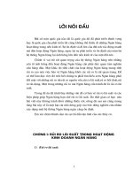 Rủi ro lãi suất trong hoạt động kinh doanh Ngân hàng .DOC