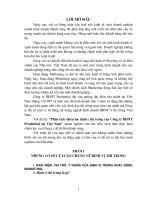 Phân tích chiến lược định cư thị trường của công ty BHNT Prudential tại Việt Nam.doc