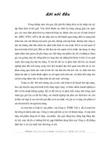 Công tác bán hàng và xác định kết quả bán hàng tại công ty TNHH ViÖt ¸.DOC