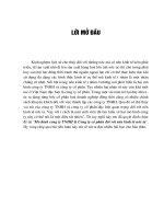 Mô hình công ty TNHH & Công ty cổ phần đối với nền kinh tế nước ta.DOC