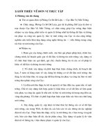 Xây dựng bản thực tập.DOC