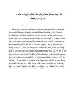 Phân tích giải pháp vận chuyển và giao hàng của MEGABUY.vn.docx