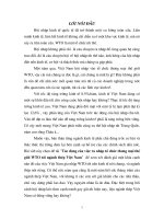 Tác động của việc ra nhập tổ chức thương mại thế giới WTO tới ngành thép Việt Nam.DOC