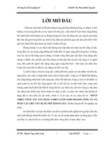 HOÀN THIỆN CÔNG TÁC XÂY DỰNG CHIẾN LƯỢC KINH DOANH CÔNG TY CỔ PHẦN VẬT LIỆU XÂY DỰNG PHÚ KHANG GIA.doc