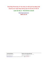 Hoạt động Marketing với việc nâng cao hiệu quả hoạt động kinh doanh tại các Ngân hàng thương mại trên địa bàn TP.HCM.doc