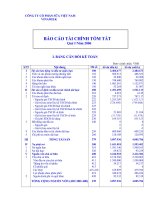 Vinamilk- BCTC tóm tắt Q1.2006.doc