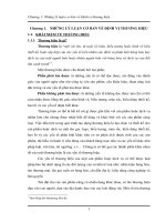 Chiến lược định vị thương hiệu trung tâm điều trị và chăm sóc da Orient.pdf