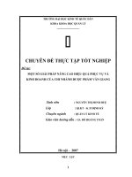 Một số giải pháp nâng cao chất lượng phục vụ và kinh doanh của chi nhánh dược phẩm Văn giang.docx