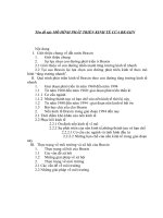 MÔ HÌNH PHÁT TRIỂN KINH TẾ CỦA BRAXIN.DOC