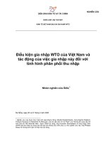 Điều kiện gia nhập WTO của Việt Nam và tác động của việc gia nhập này đối với tình hình phân phối thu nhập.pdf