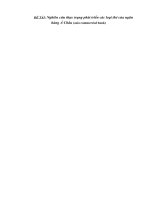 phan tich cac loai the cua ngan hang a chau.doc