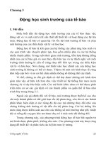 Công nghệ tế bào C3