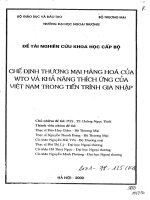 Chế định thuơng mại hàng hóa của WTO và khả năng thích ứng của Việt Nam trong tiến trình hội nhập.pdf