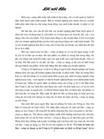 Tổ chức kế toán vật liệu - công cụ dụng cụ tại Công ty Cổ phần may và dịch vụ Hưng Long.DOC